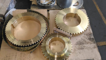 Worm gear and worm shaft gear